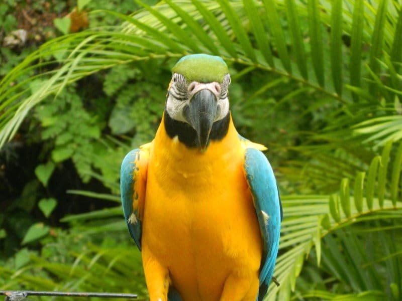 kfg48268528422057_242d22d638a6_c