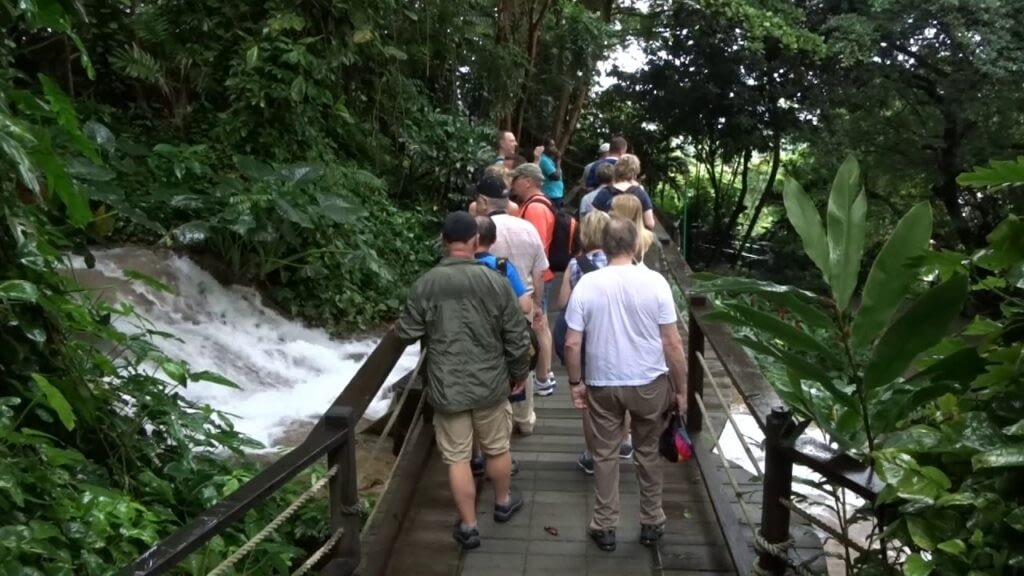 Konoko Falls Botanical Gardens